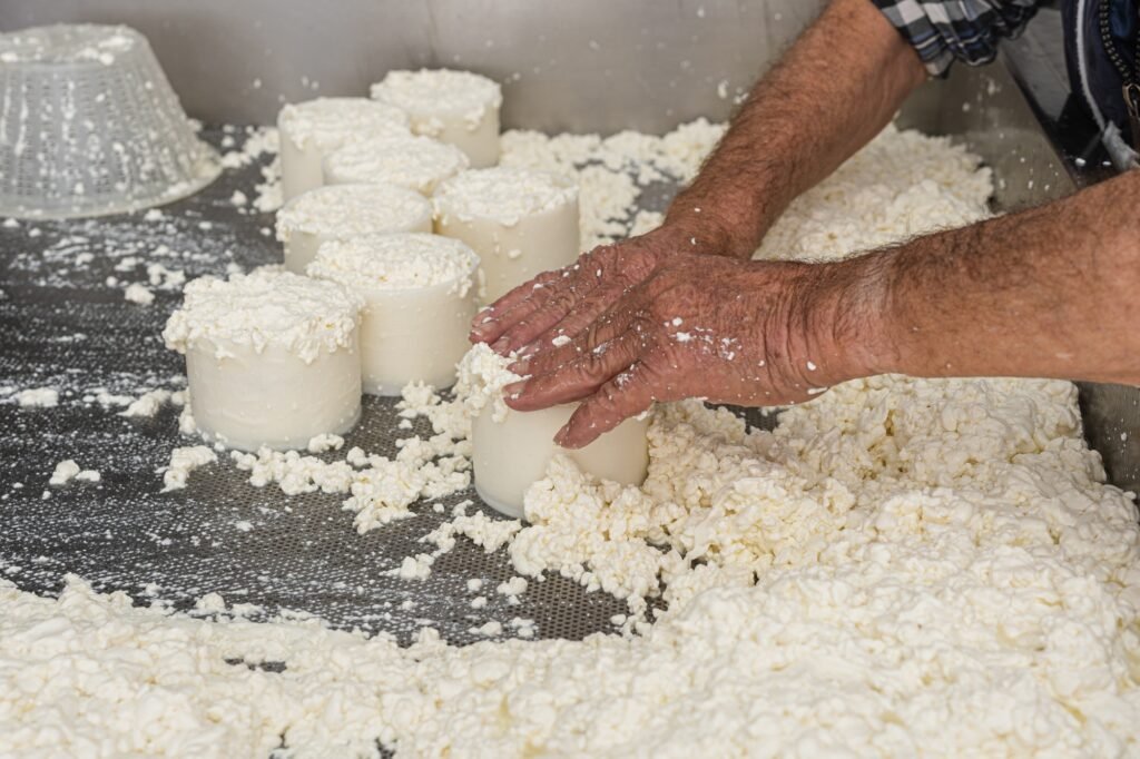 older man fills a fresh cheese mould with curds
